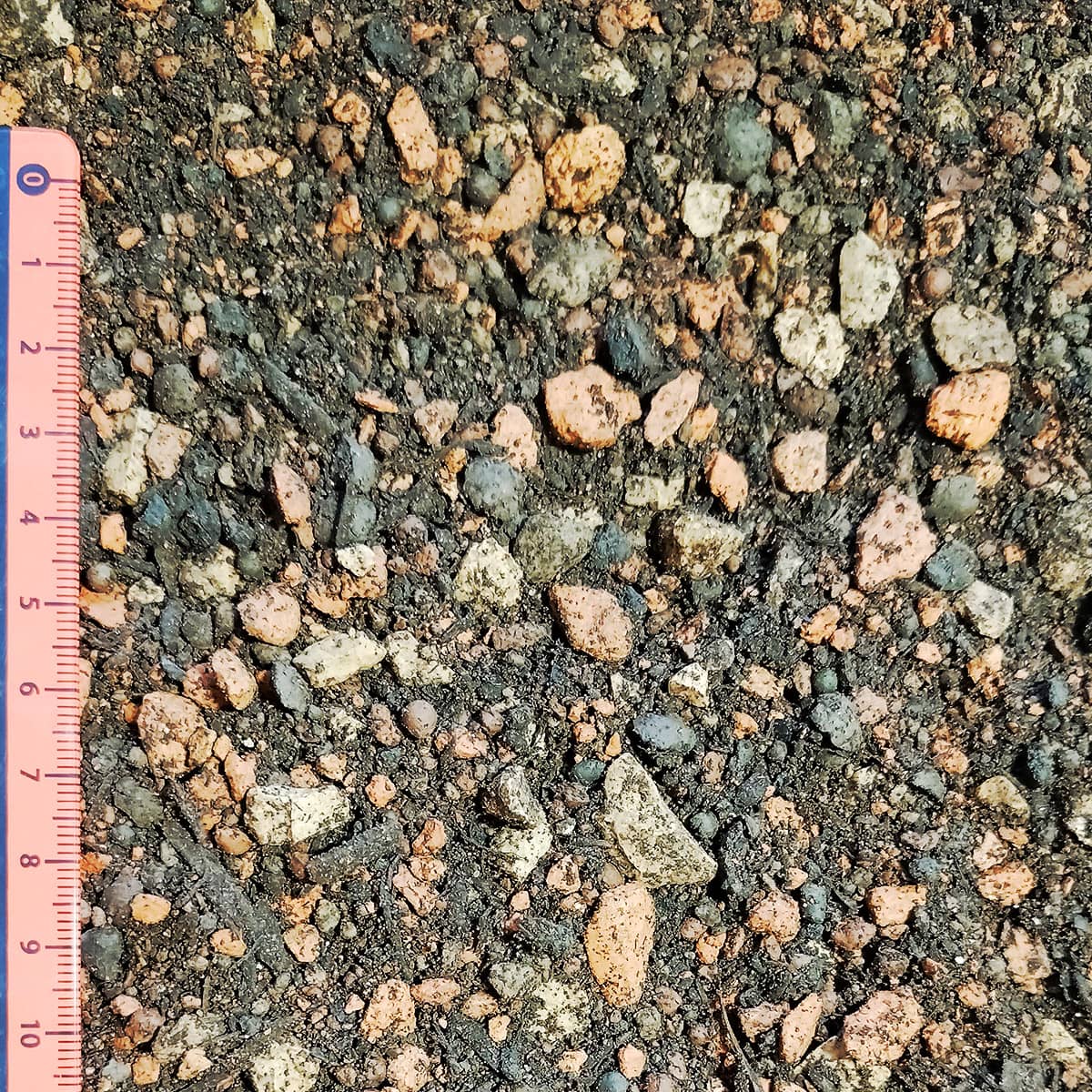 Dach- und Trogerde extensiv – Bild 2