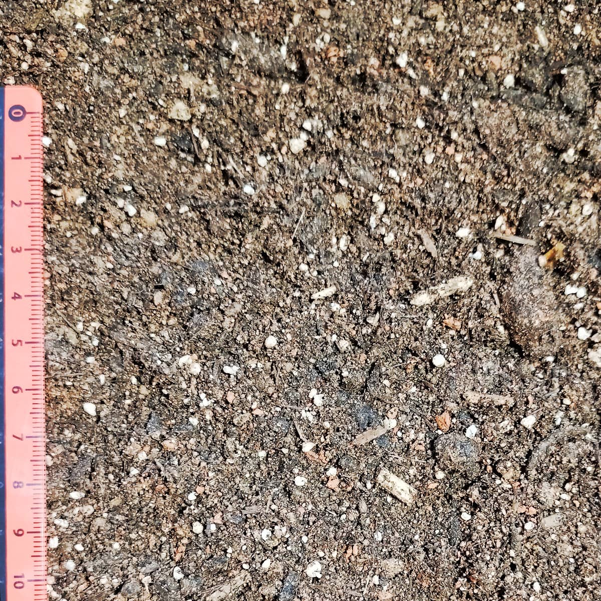 Carbon Gartensubstrat – Bild 2