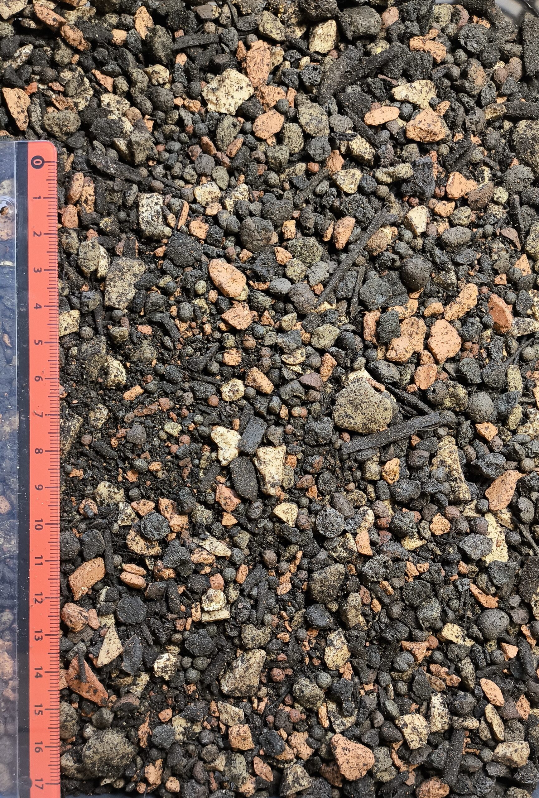 Dach- und Trogerde extensiv – Bild 2